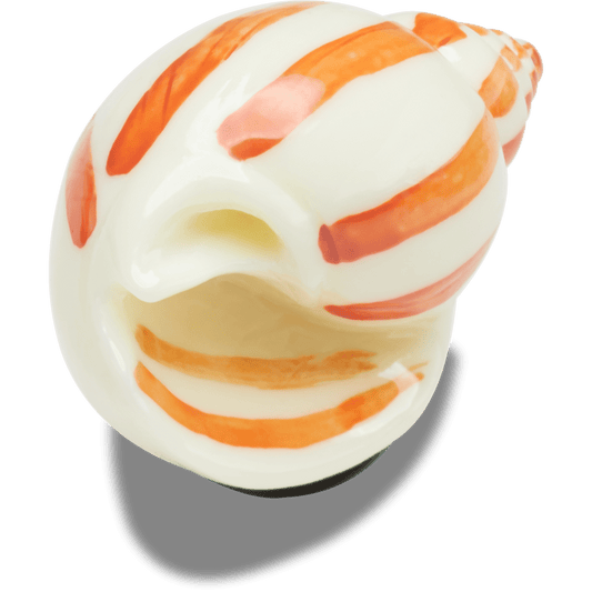 Natural Conch Shell - US 9380