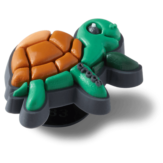 Pet Turtle - US 1668