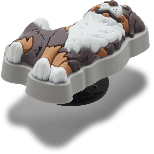 Bernese Mountain Dog Puppy - US 5676