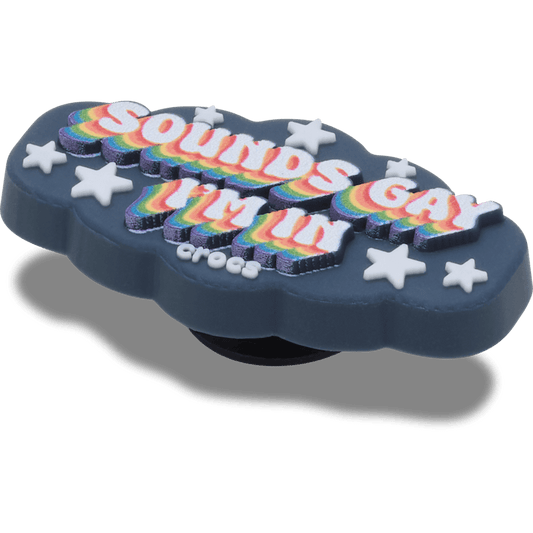 Sounds Gay Im In - US 3857