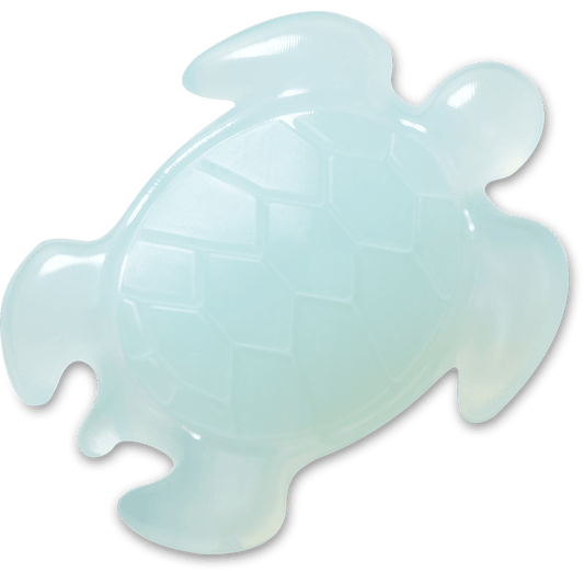 Light Blue Turtle - US 1558