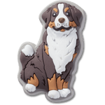 Bernese Mountain Dog Puppy - US 5676